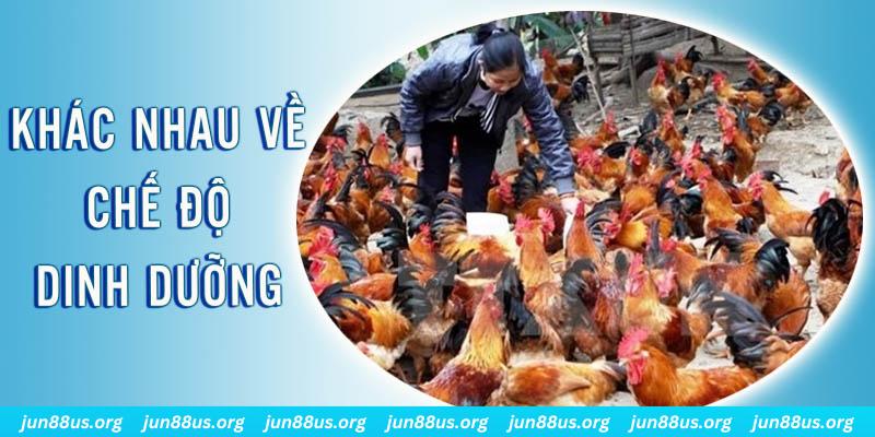 xổ số miền nam thứ năm hàng tuần