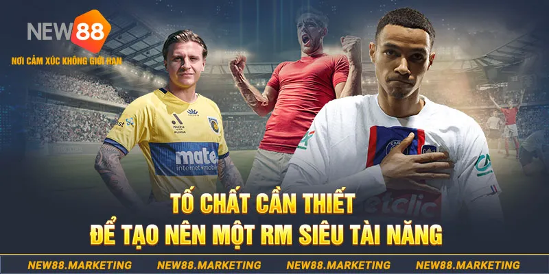 nohu95 đá gà thomo