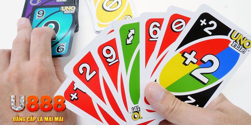 nohu95 gà chọi cu cần