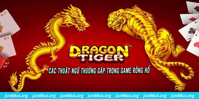 nohu95 ÁT CHỦ BÀI ĐẤU ĐỊA CHỦ