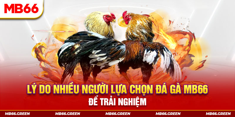 nohu95 KA Điện Tử