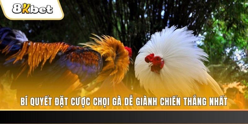 nohu95 xổ số thứ hai hàng tuần