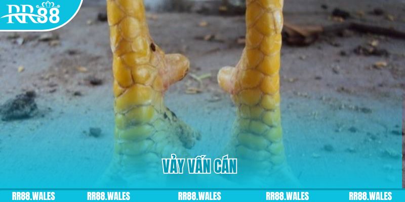 nohu95 đăng nhập nổ hũ hôm nay