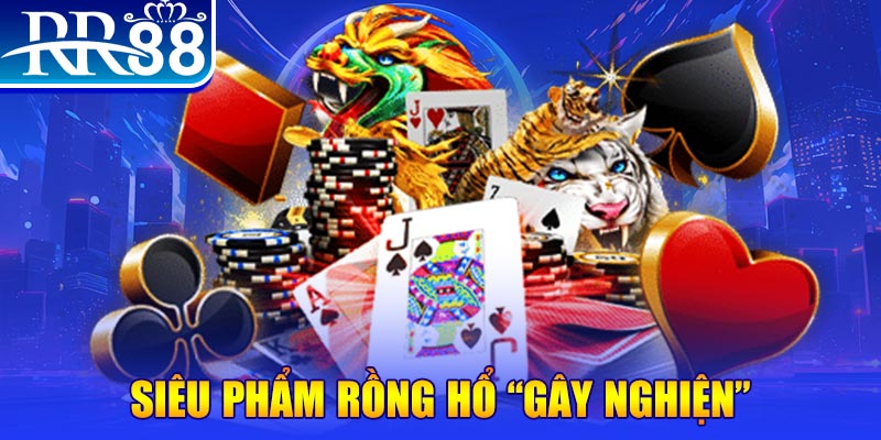 nohu95 người chia bài trong casino gọi là gì