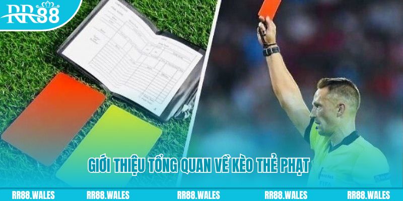 nohu95 những ai nên chơi nổ hũ