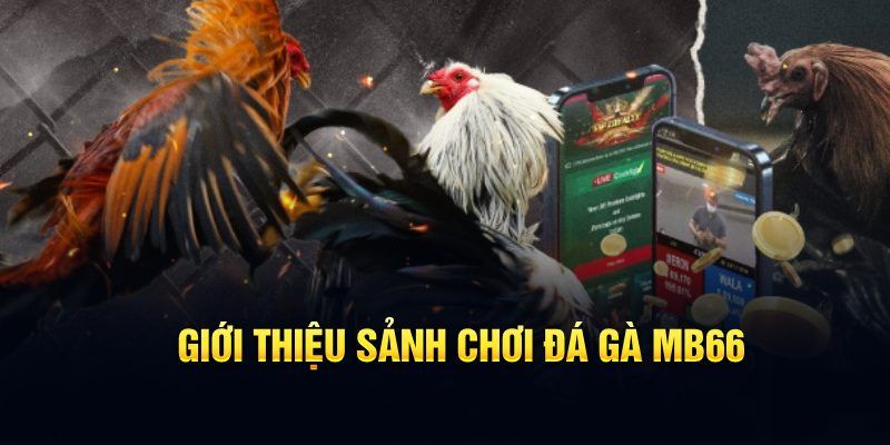 nohu95 đăng nhập poker hôm nay