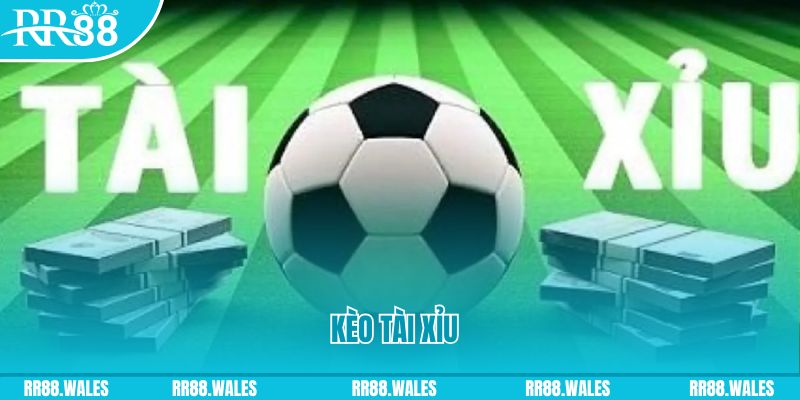 nohu95 Giành Chủ Bull Bull